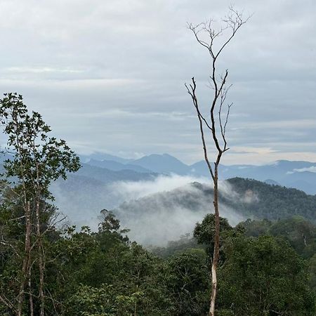 Misty At Fraser'S Hill Fraser Hill المظهر الخارجي الصورة